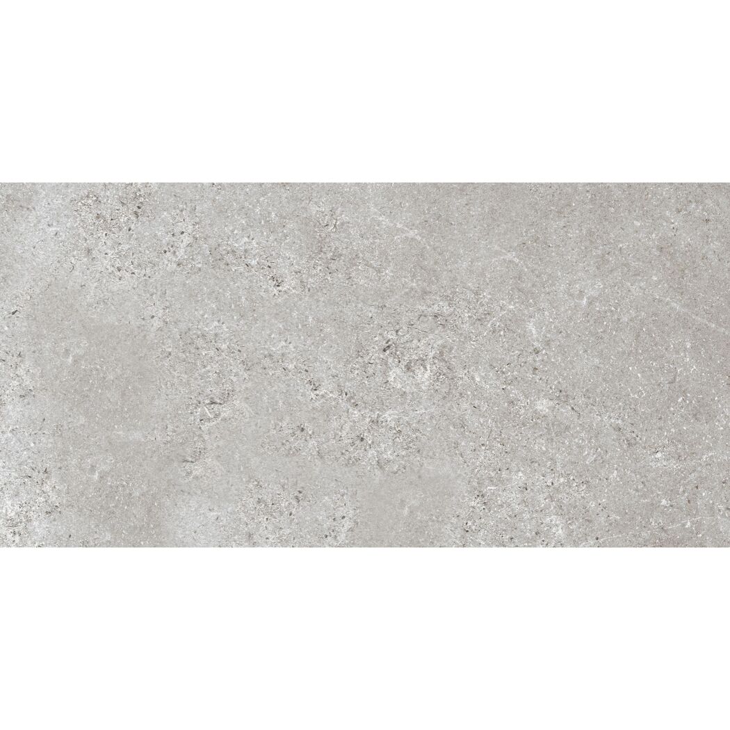 Bodenfliese 'Baredo' Feinsteinzeug grau 29,8 x 59,8 x 0,8 cm