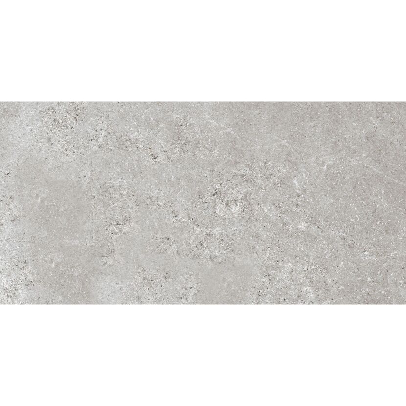 Bodenfliese 'Baredo' Feinsteinzeug grau 29,8 x 59,8 x 0,8 cm