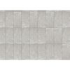 Bodenfliese 'Baredo' Feinsteinzeug grau 29,8 x 59,8 x 0,8 cm