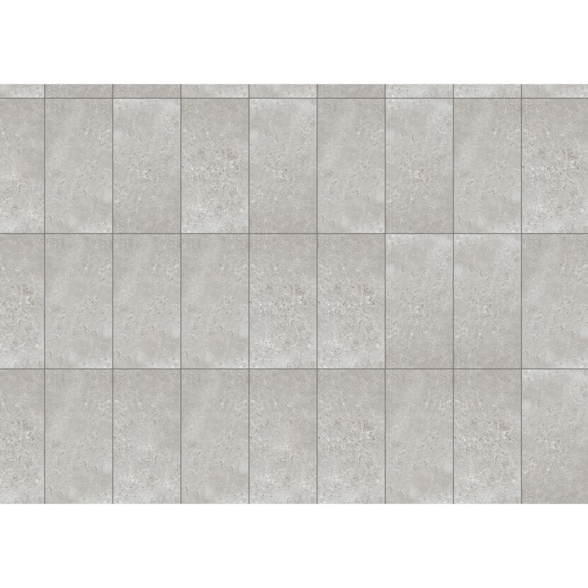 Bodenfliese 'Baredo' Feinsteinzeug grau 29,8 x 59,8 x 0,8 cm