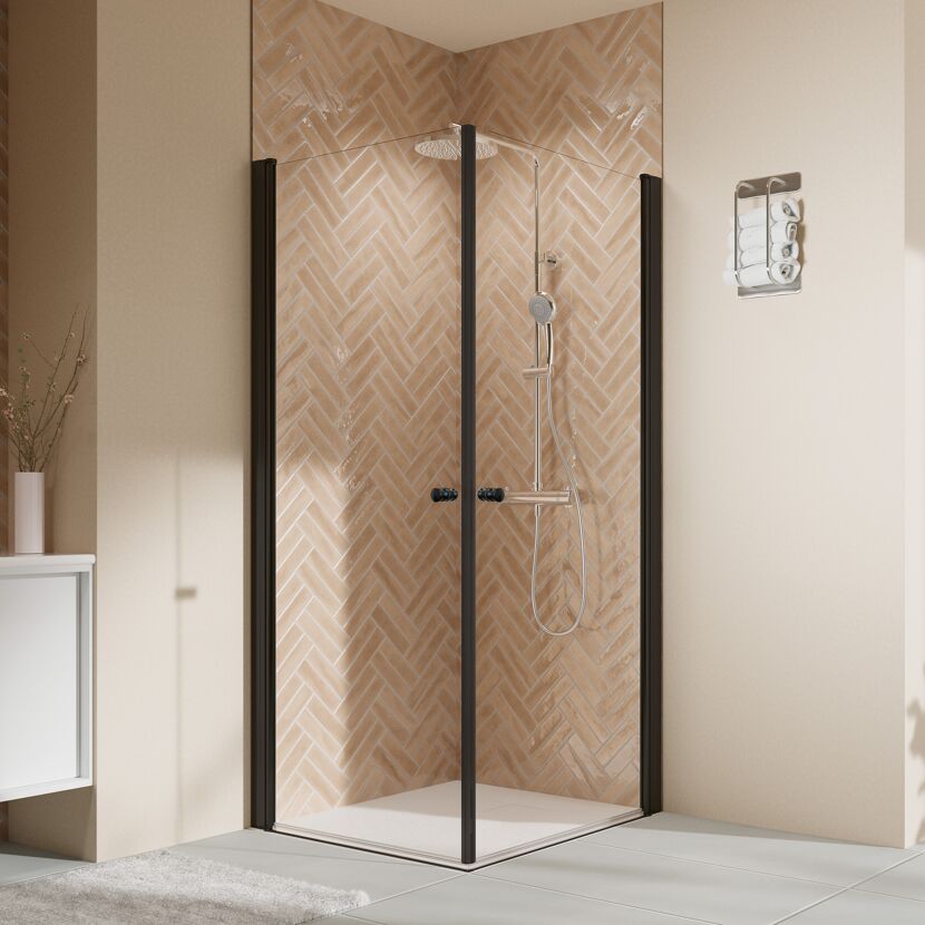 Duschkabine 'Elana 2.0' mit Eckeinstieg mattschwarz 100 x 100 x 200 cm