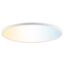 LED-Deckenleuchte 'Avola' dimmbar 3000 lm warmweiß bis tageslichtweiß Ø 42 x 2,9 cm