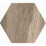 Bodenfliese 'Silva' Feinsteinzeug braun 19,8 x 22,8 x 1 cm