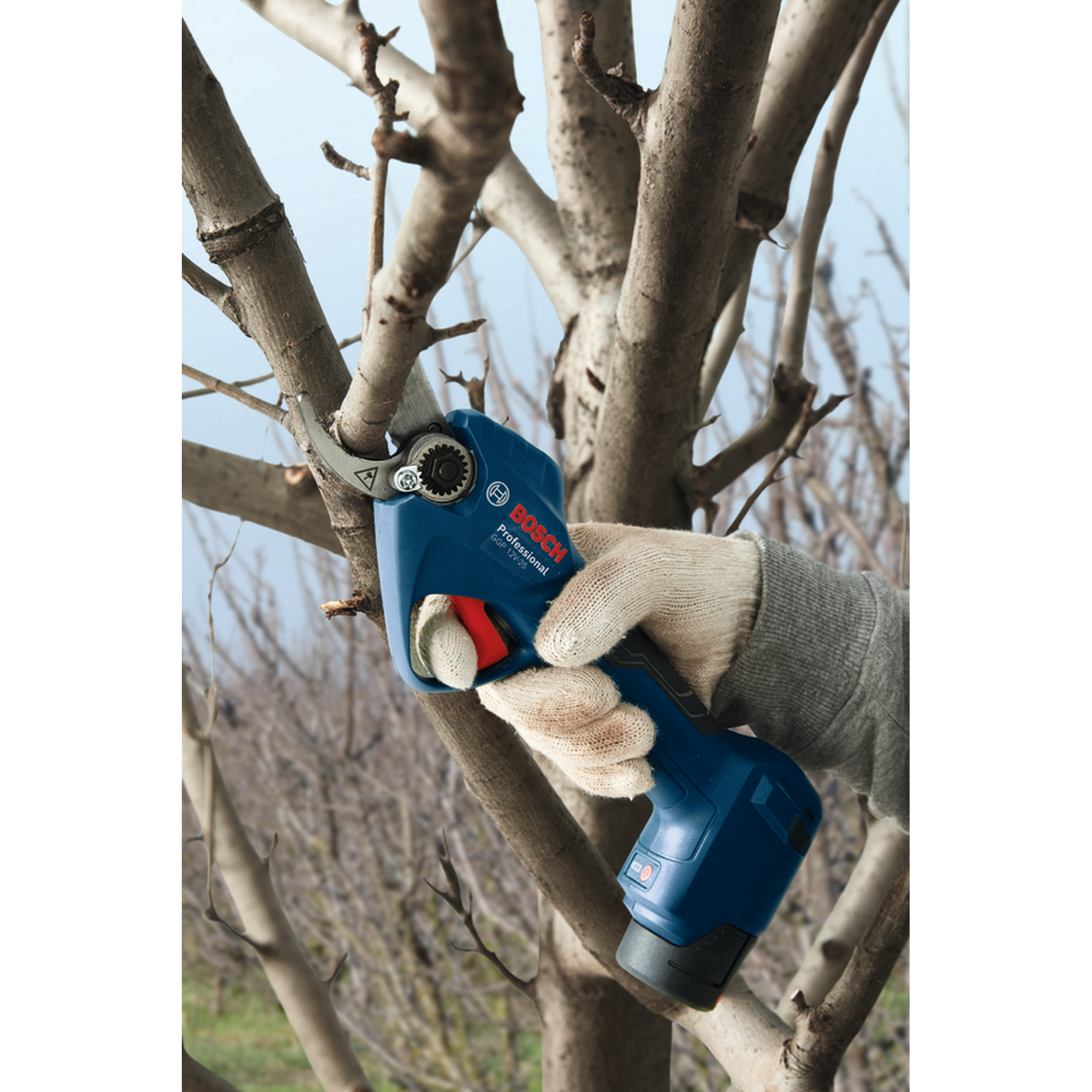 Akku-Gartenschere 'GGP 12V-25' ohne Akku und Ladegerät