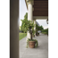 Bodenfliese 'Raw' Feinsteinzeug grau 30 x 60 x 0,85 cm