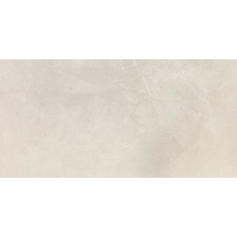 Bodenfliese 'Luna' Feinsteinzeug hellgrau 60 x 120 x 0,8 cm
