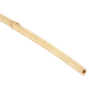 Pflanzstab Bambus Ø 8-10 mm x 120 cm 10 Stück
