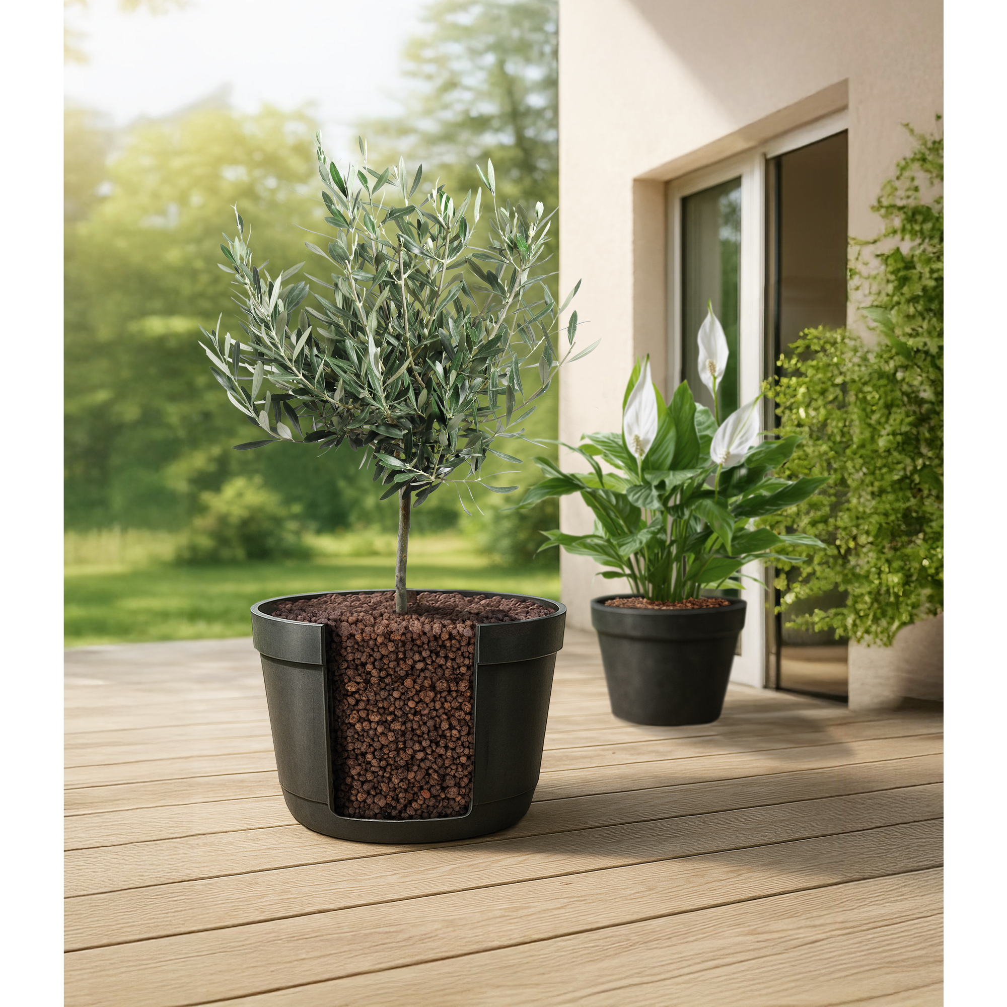 Pflanzton 8-16 mm granulierter, gebrannter Ton 5 l