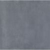 Bodenfliese 'Raw' Feinsteinzeug anthrazit 60 x 60 x 0,85 cm