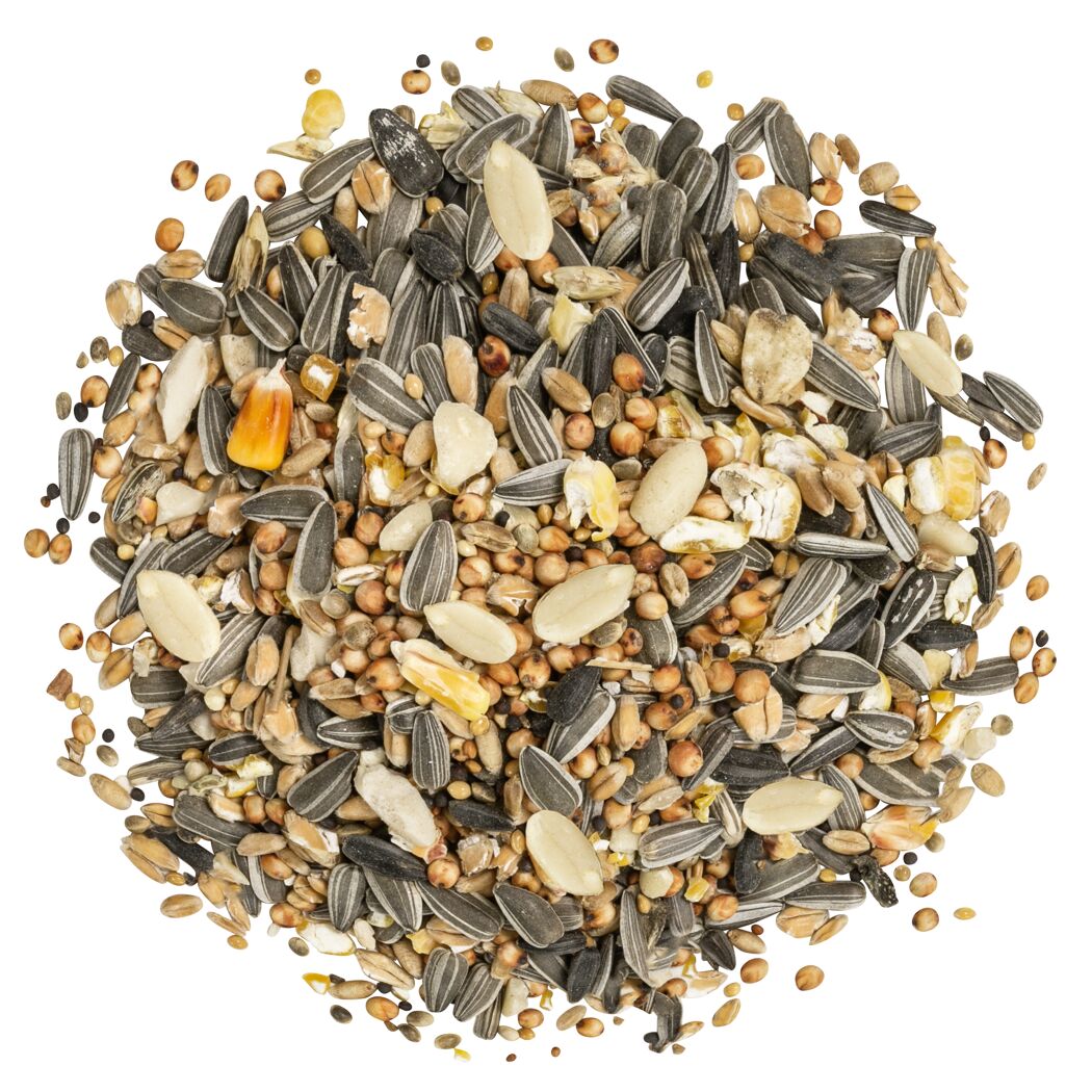 Wildvogelfutter 'Körnerfit' 1 kg