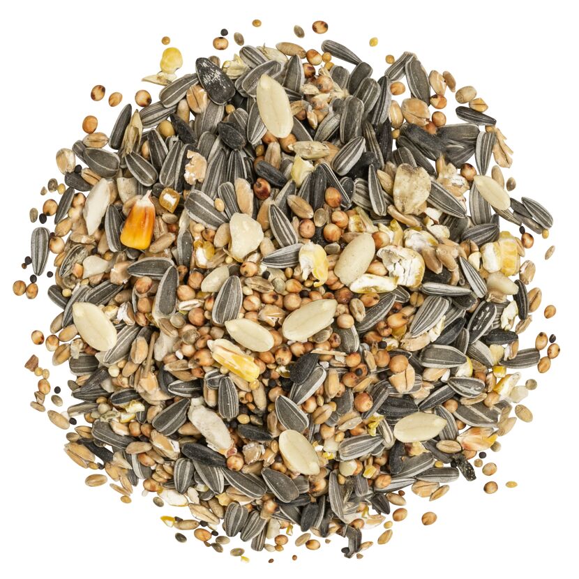 Wildvogelfutter 'Körnerfit' 1 kg