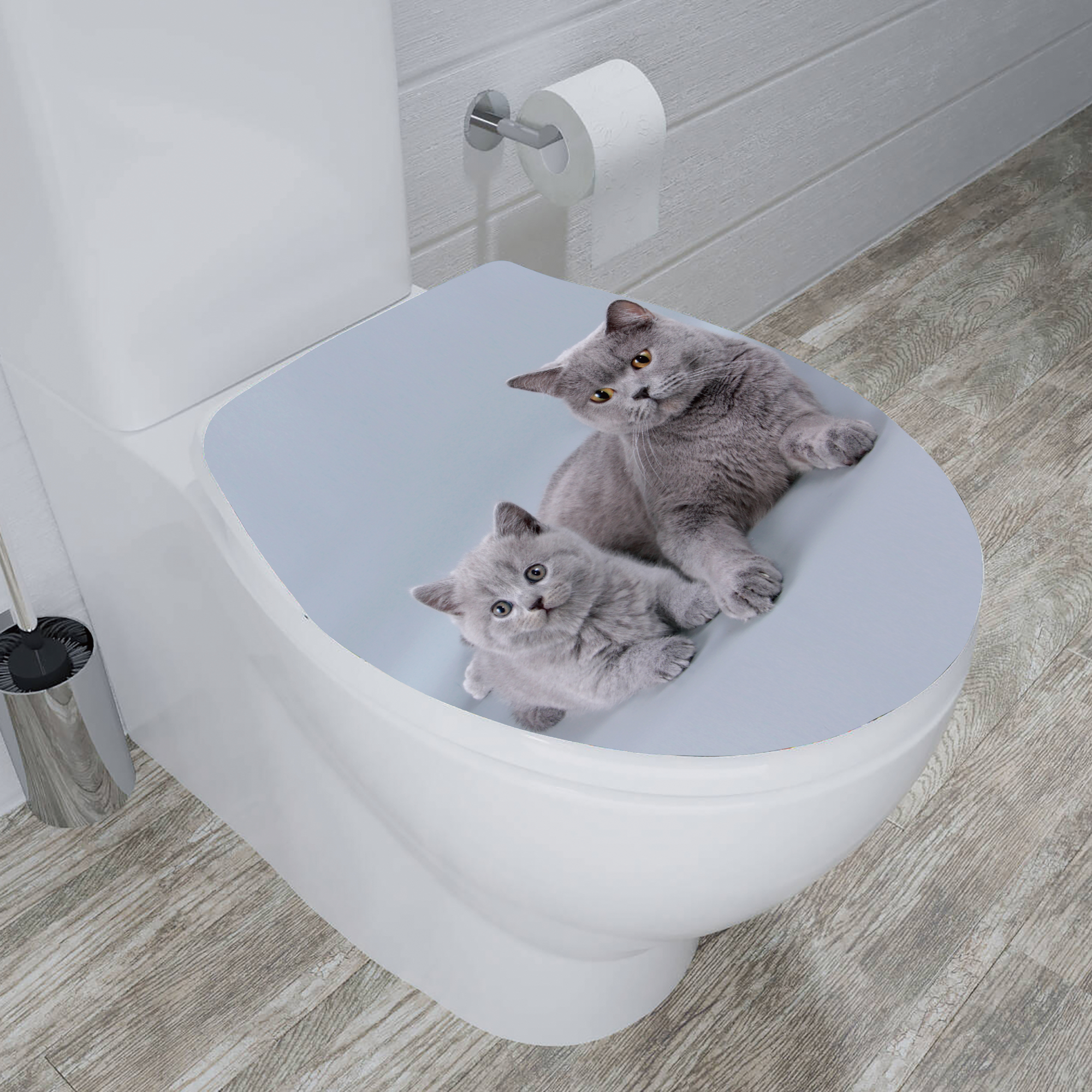 WC-Sitz 'Katze' mit Absenkautomatik