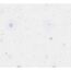 Vliestapete 'Lilly & Luis' Sterne beige 0,53 x 10,05 m