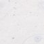 Vliestapete 'Lilly & Luis' Sterne beige 0,53 x 10,05 m