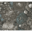 Vliestapete 'Michalsky 6' Blumen grau 0,53 x 10,05 m