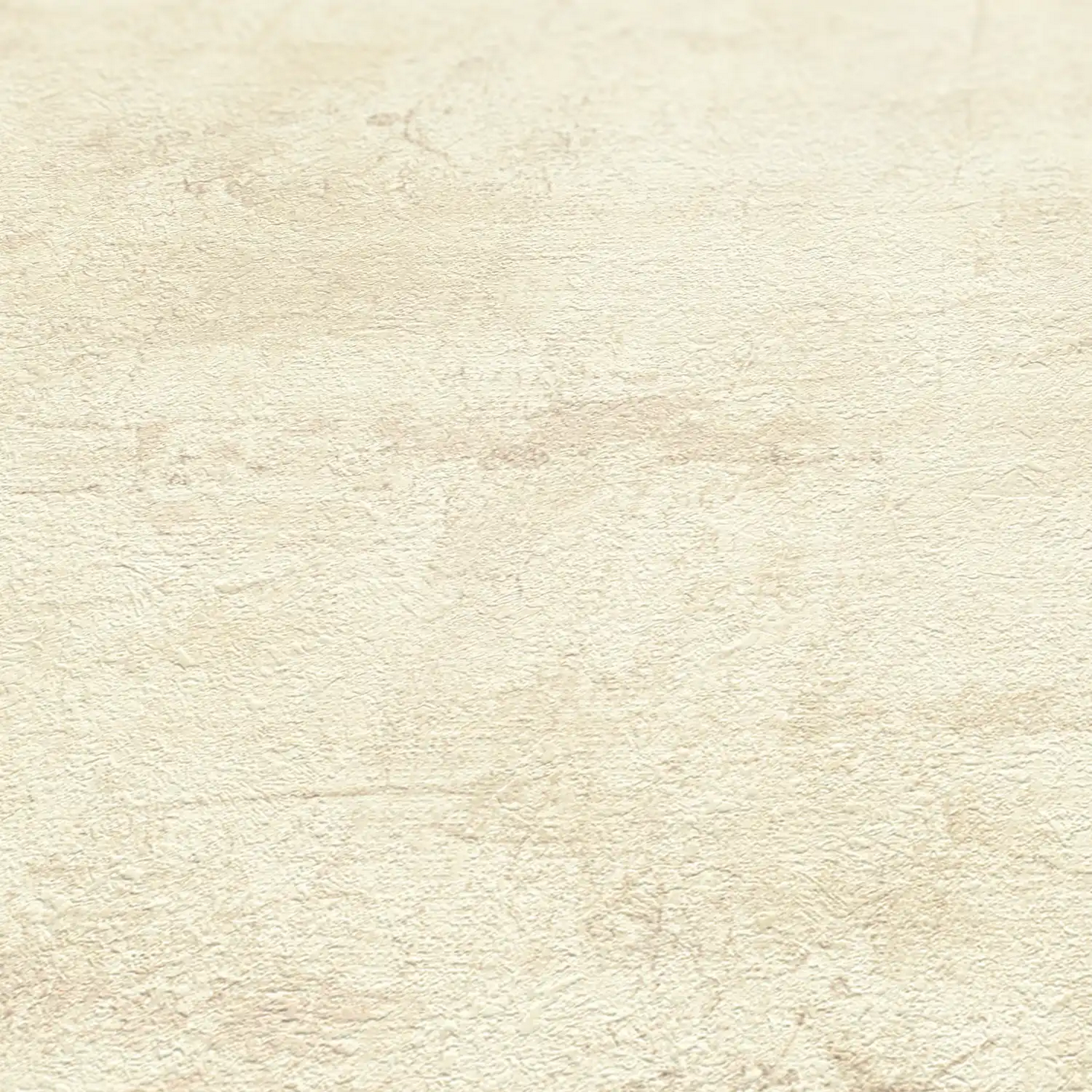 Vliestapete 'Daniel Hechter 7' Putz beige 0,53 x 10,05 m