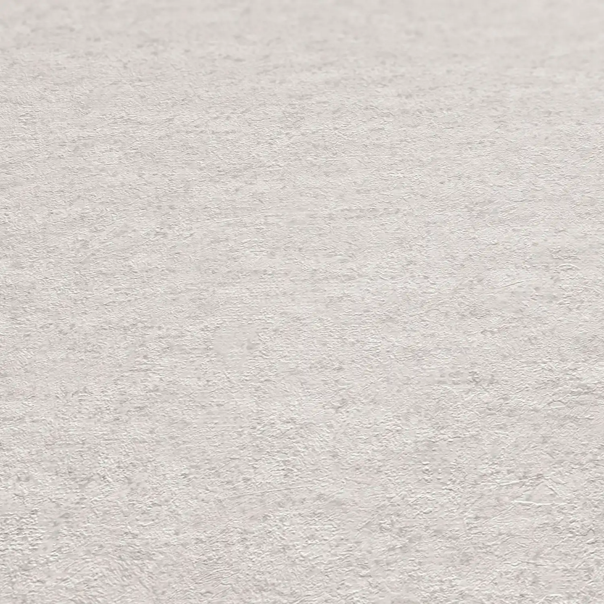 Vliestapete 'Daniel Hechter 7' Beton hellgrau 0,53 x 10,05 m