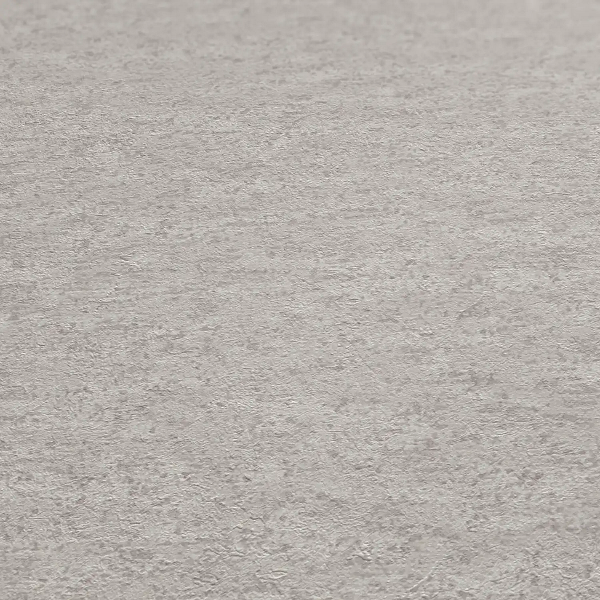 Vliestapete 'Daniel Hechter 7' Beton dunkelgrau 0,53 x 10,05 m