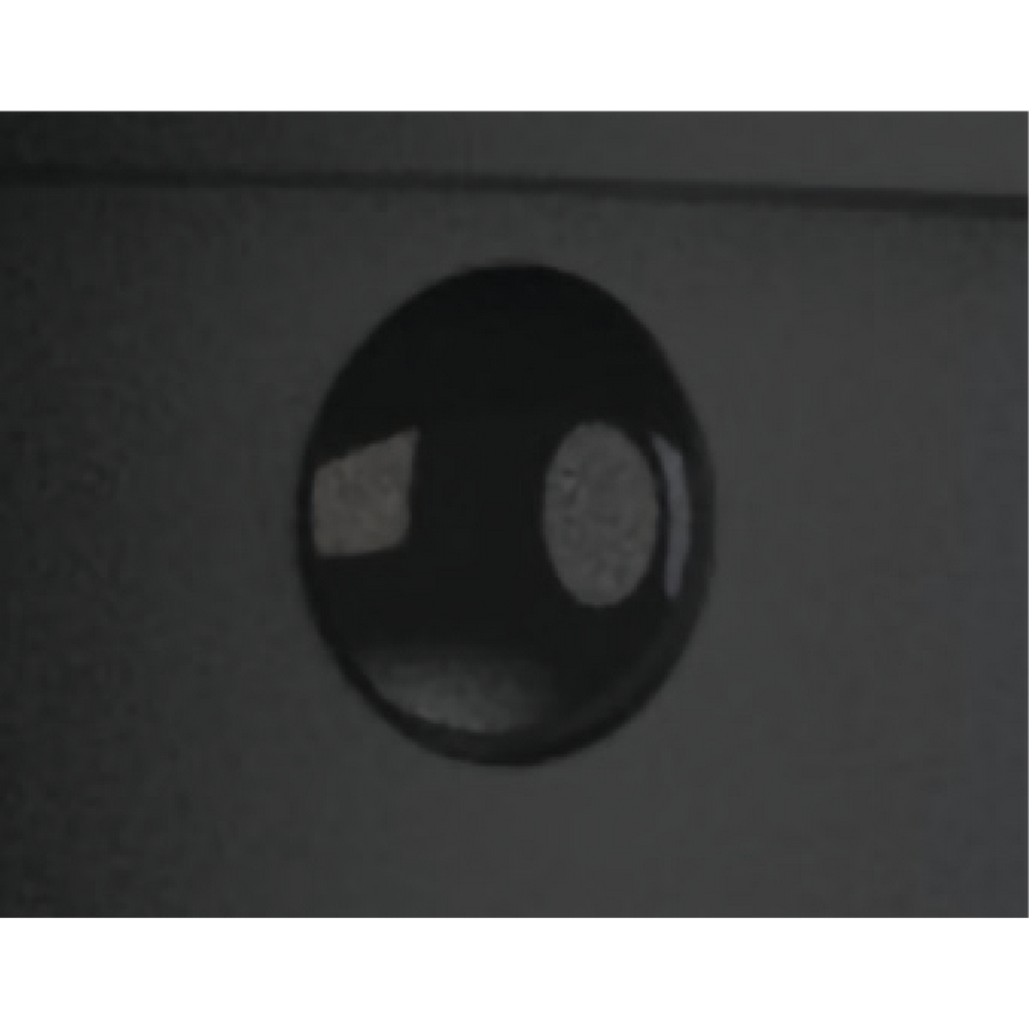 Solar Wandleuchte 'Arnheim' schwarz mit Bewegungsmelder Ø 14 x 18,8 cm