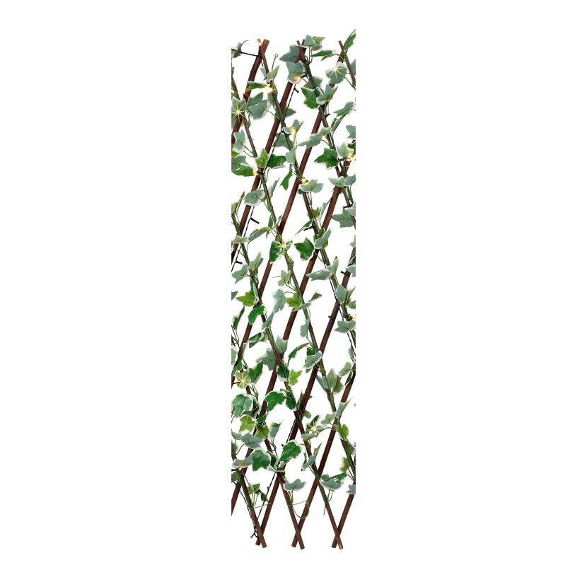 Solar Deko-Spalier 'Efeu' mit 100 LED´s 20/300 x 63/120 cm