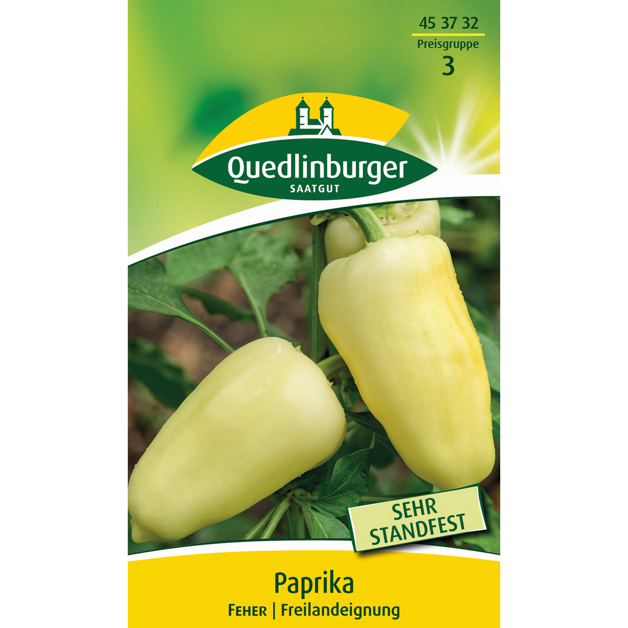 hauptbild