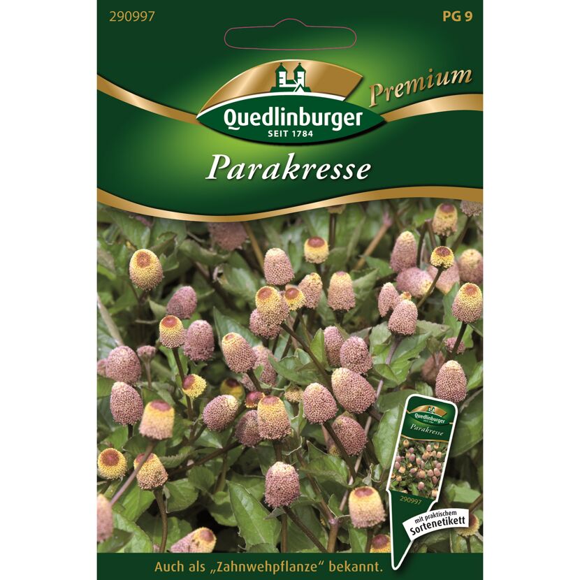 Parakresse