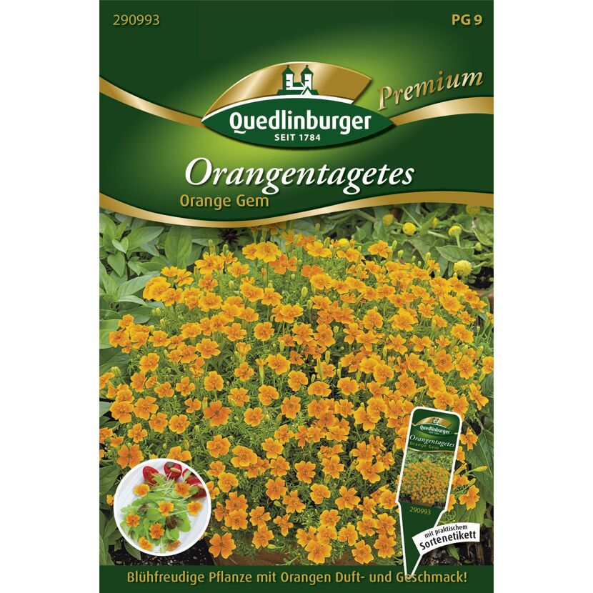 Orangentagetes