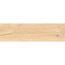 Bodenfliese 'Icon' beige 15 x 60 x 0,74 cm