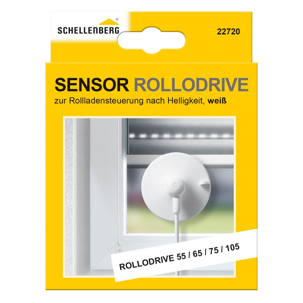 Sensor für RD55/65/75/105