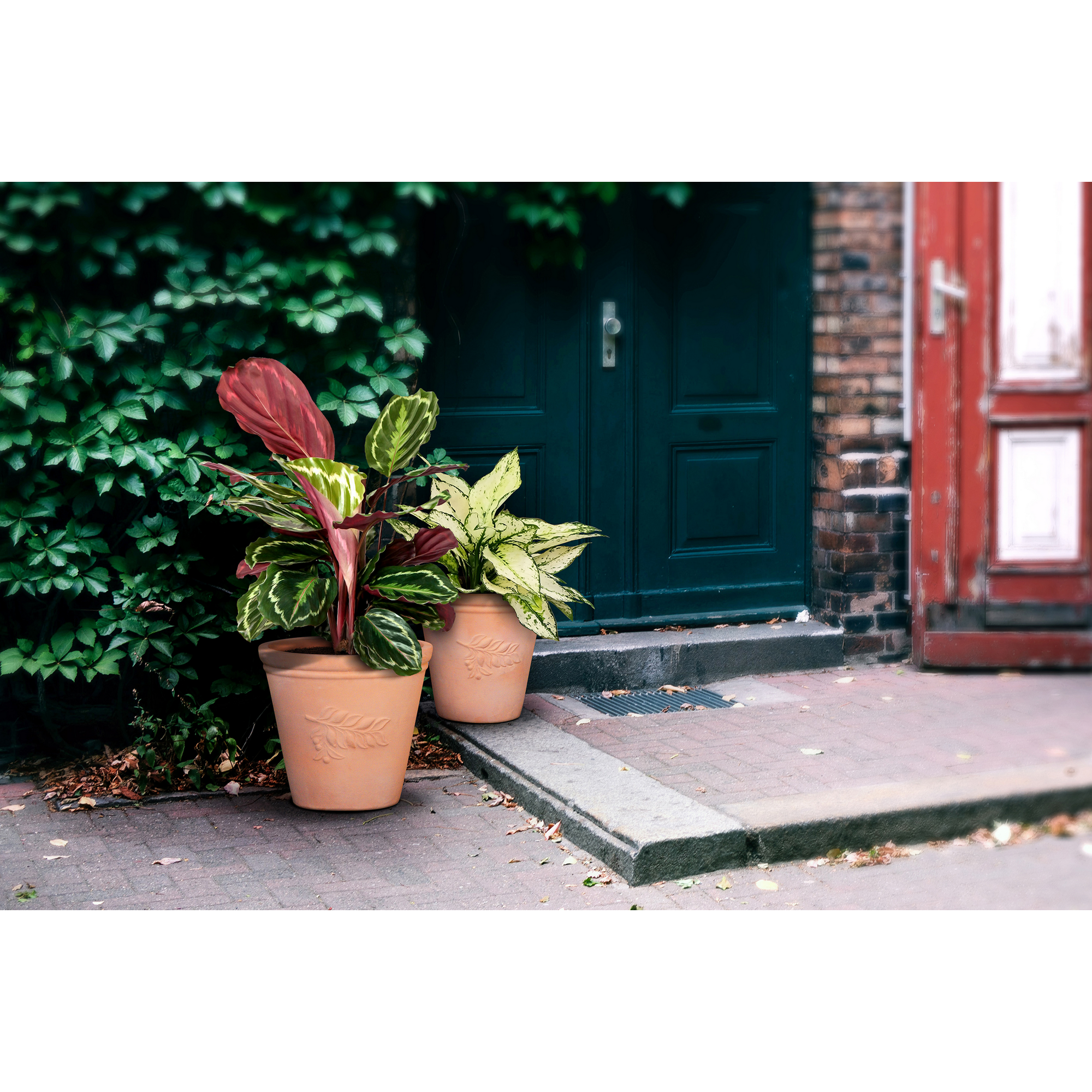 Pflanzgefäß 'Paros' terrakotta Ø 33 x 32 cm