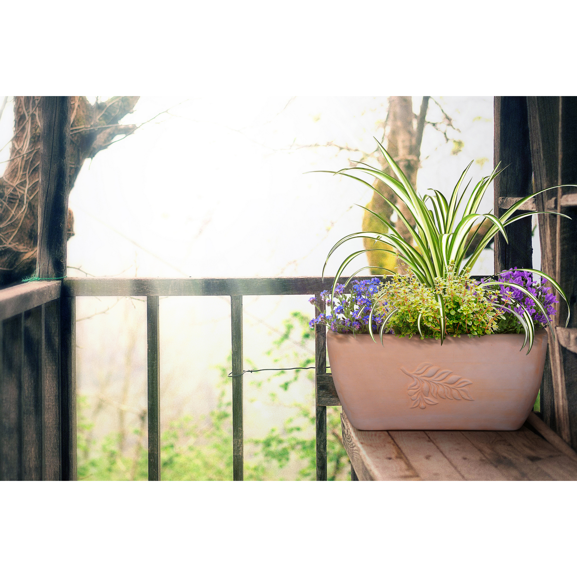 Pflanzgefäß 'Paros' terrakotta 45 x 21 x 24,5 cm