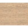Dekorpaneel 'DecoWall DO006' Namur Fichte hell 1250 mm x 660 mm