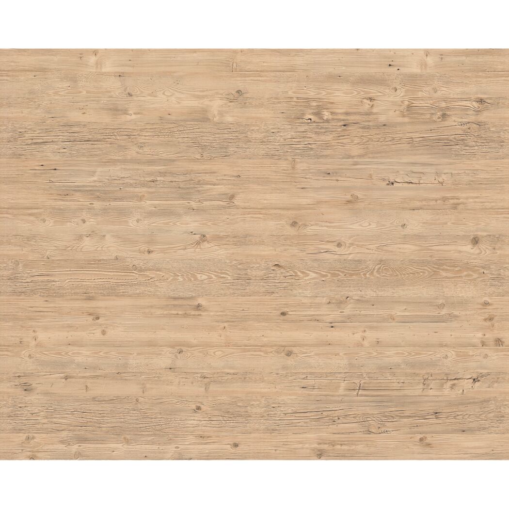 Dekorpaneel 'DecoWall DO006' Namur Fichte hell 1250 mm x 660 mm