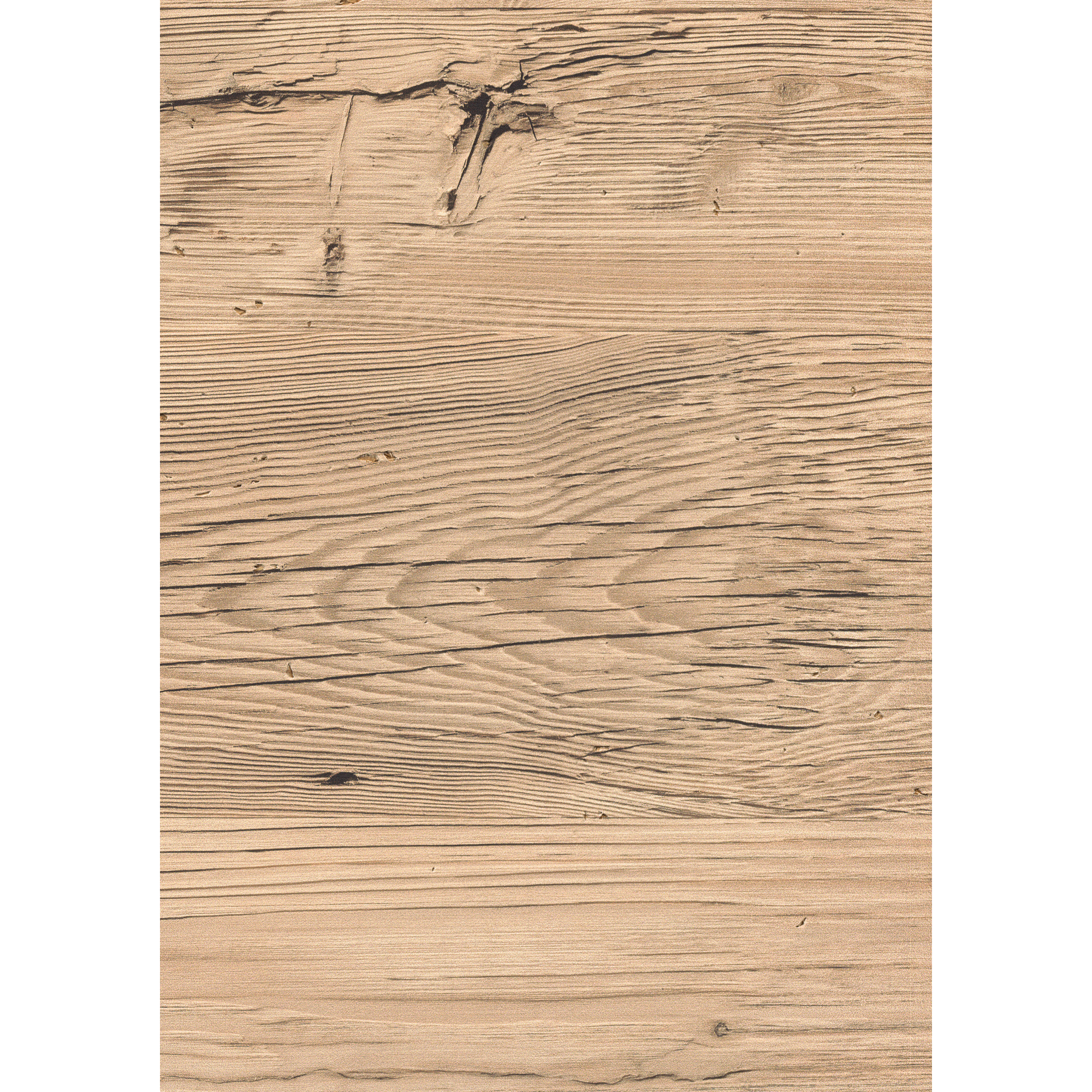 Dekorpaneel 'DecoWall DO006' Namur Fichte hell 1250 mm x 660 mm