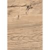 Dekorpaneel 'DecoWall DO006' Namur Fichte hell 1250 mm x 660 mm
