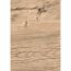 Dekorpaneel 'DecoWall DO006' Namur Fichte hell 1250 mm x 660 mm