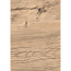 Dekorpaneel 'DecoWall DO006' Namur Fichte hell 1250 mm x 660 mm