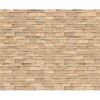 Dekorpaneel 'DecoWall DO007' Laxfield Eiche 1250 mm x 660 mm
