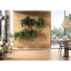 Dekorpaneel 'DecoWall DO008' Loveland Eiche 1250 mm x 660 mm