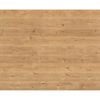 Dekorpaneel 'DecoWall DO008' Loveland Eiche 1250 mm x 660 mm