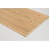 Dekorpaneel 'DecoWall DO009' Esbjerg Rüster 1250 mm x 660 mm