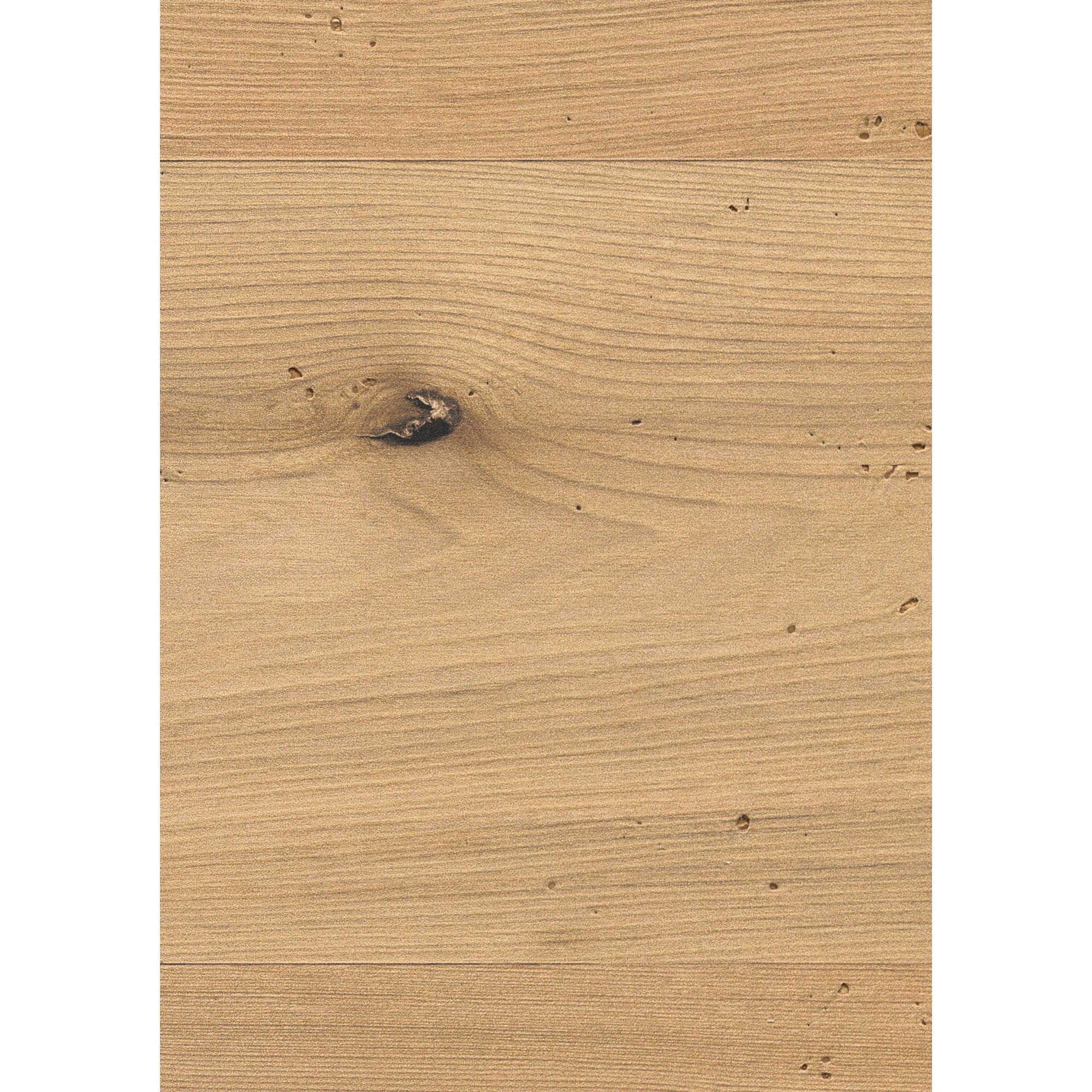 Dekorpaneel 'DecoWall DO009' Esbjerg Rüster 1250 mm x 660 mm
