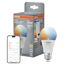 LED-Leuchtmittel 'SMART+ MATTER Classic shapes Tunable white' dimmbar Standardform matt E27 14 W 1521 lm warmweiß bis tageslichtweiß