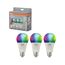 LED-Leuchtmittel 'Classic Shapes' 14 W 1521 lm 3 Stück