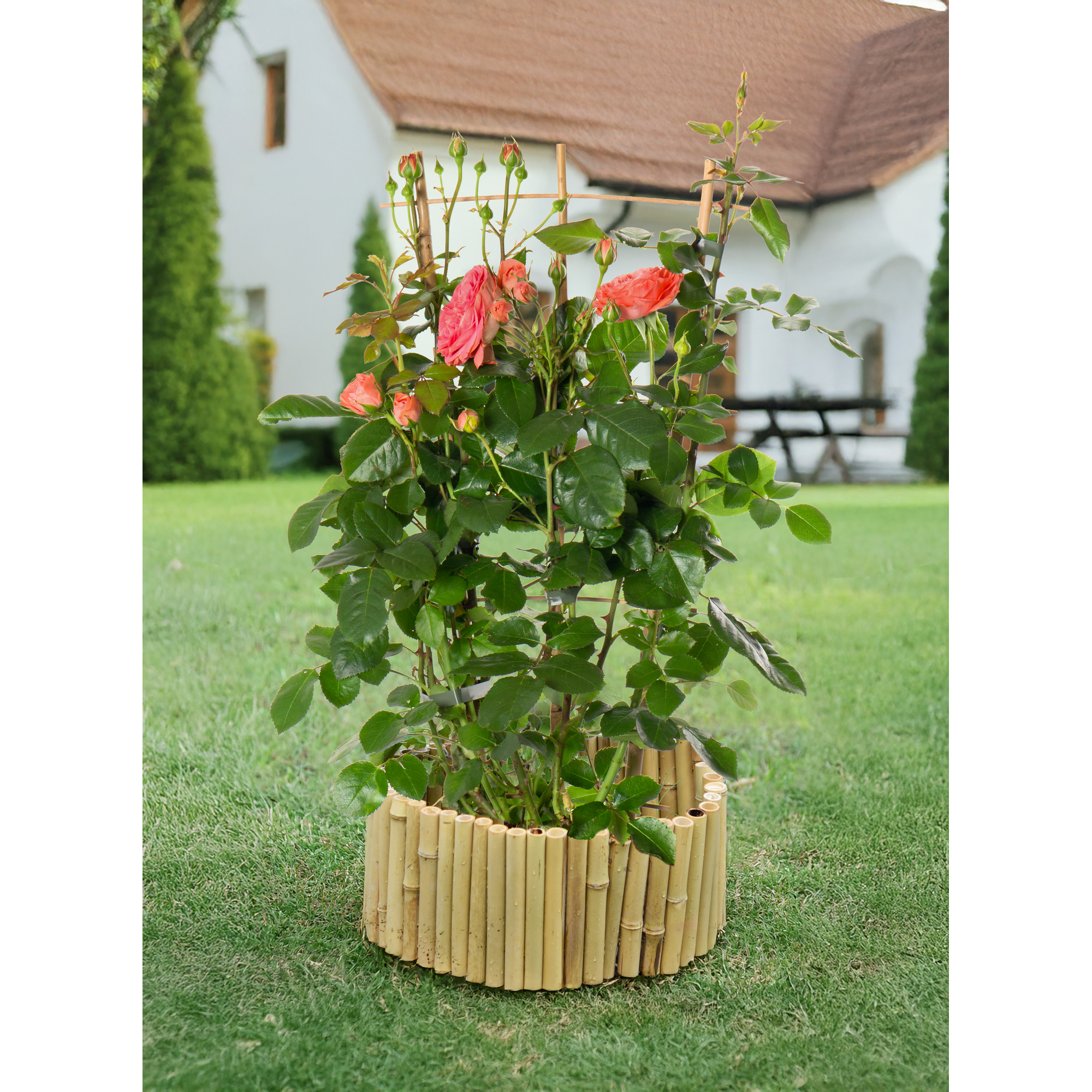 Beetabtrennung Bambus naturfarben 114 x 18/36 cm