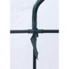Foliengewächshaus 'Mara' transparent/grün 73 x 195 x 143 cm