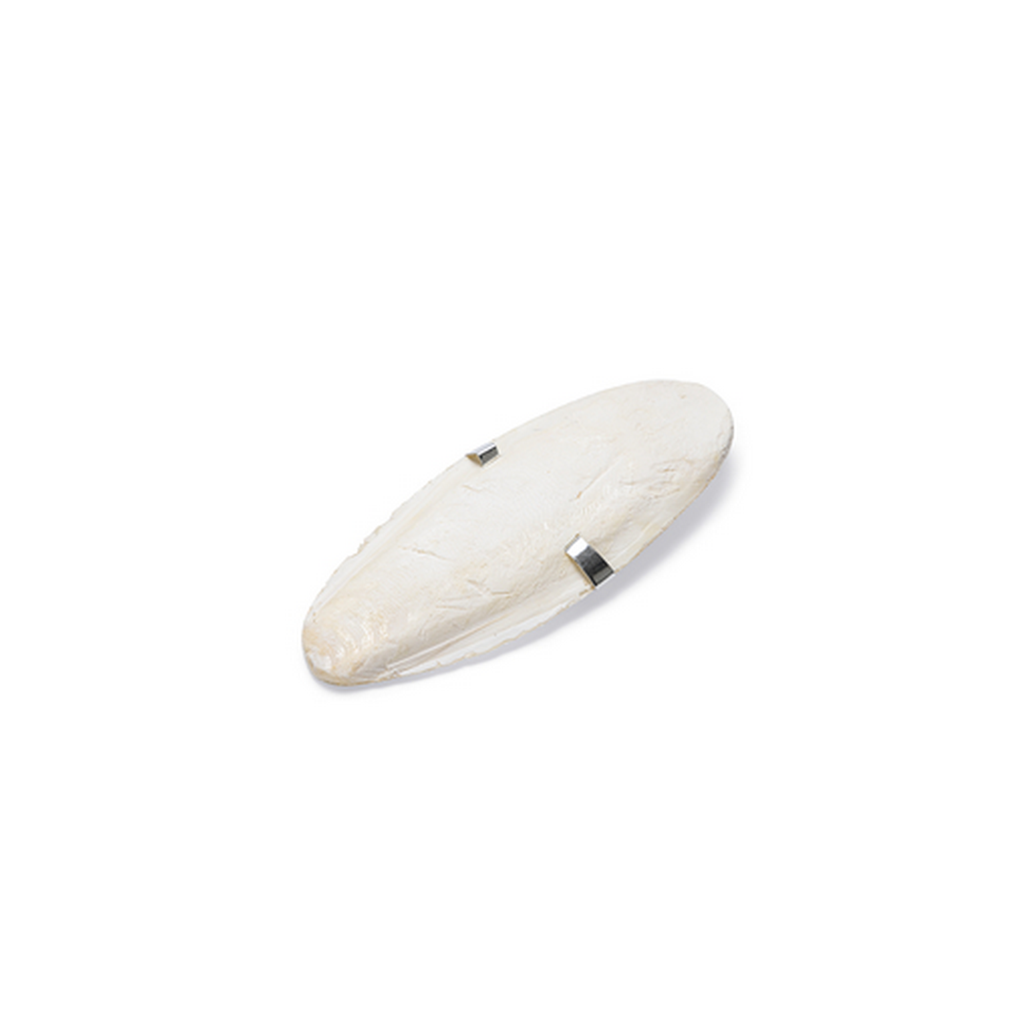 Sepiaschale 11,5 cm