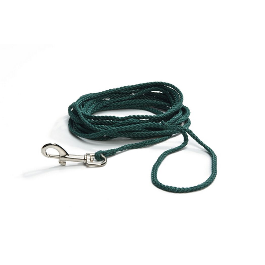 Hundesuchleine grün 10 m