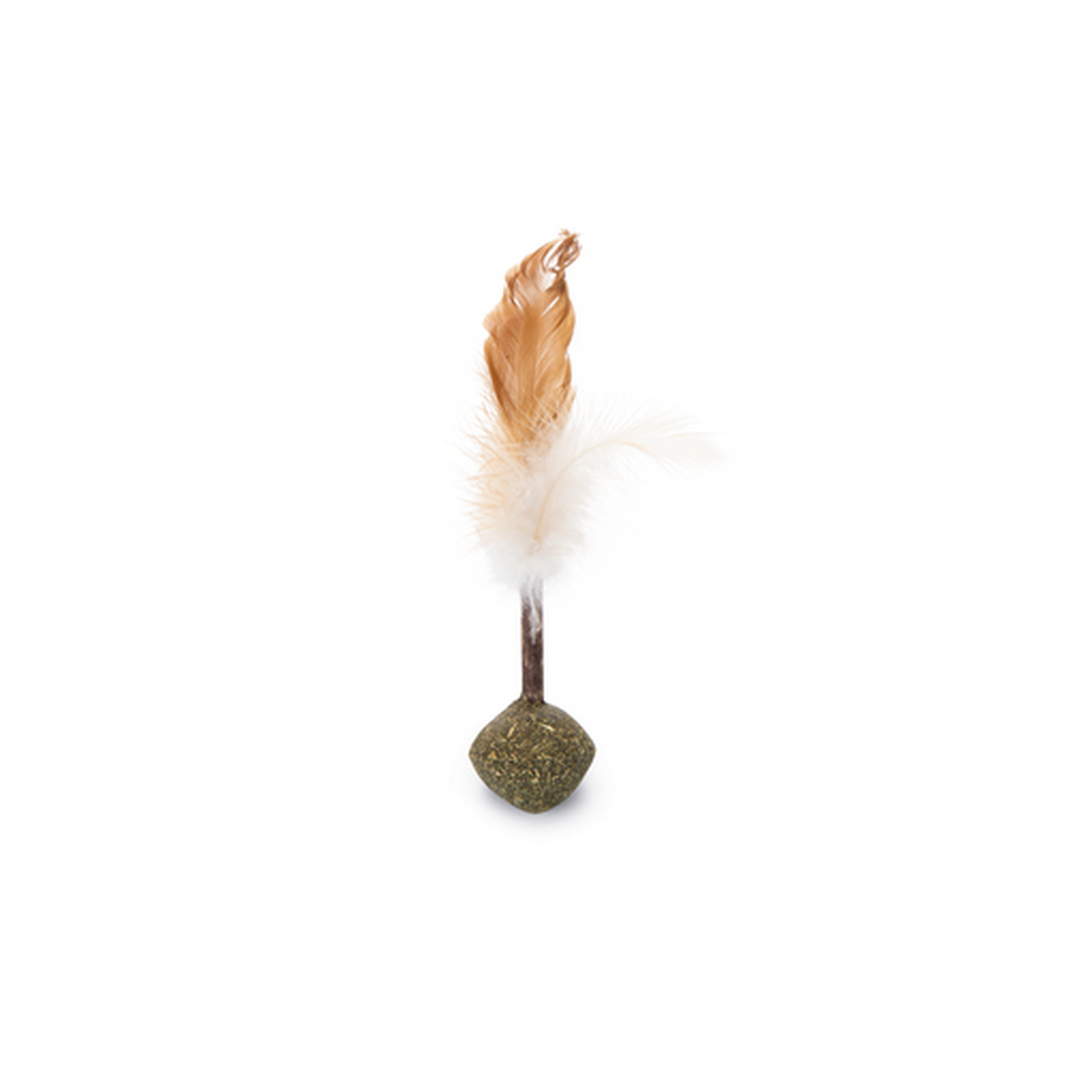 hauptbild