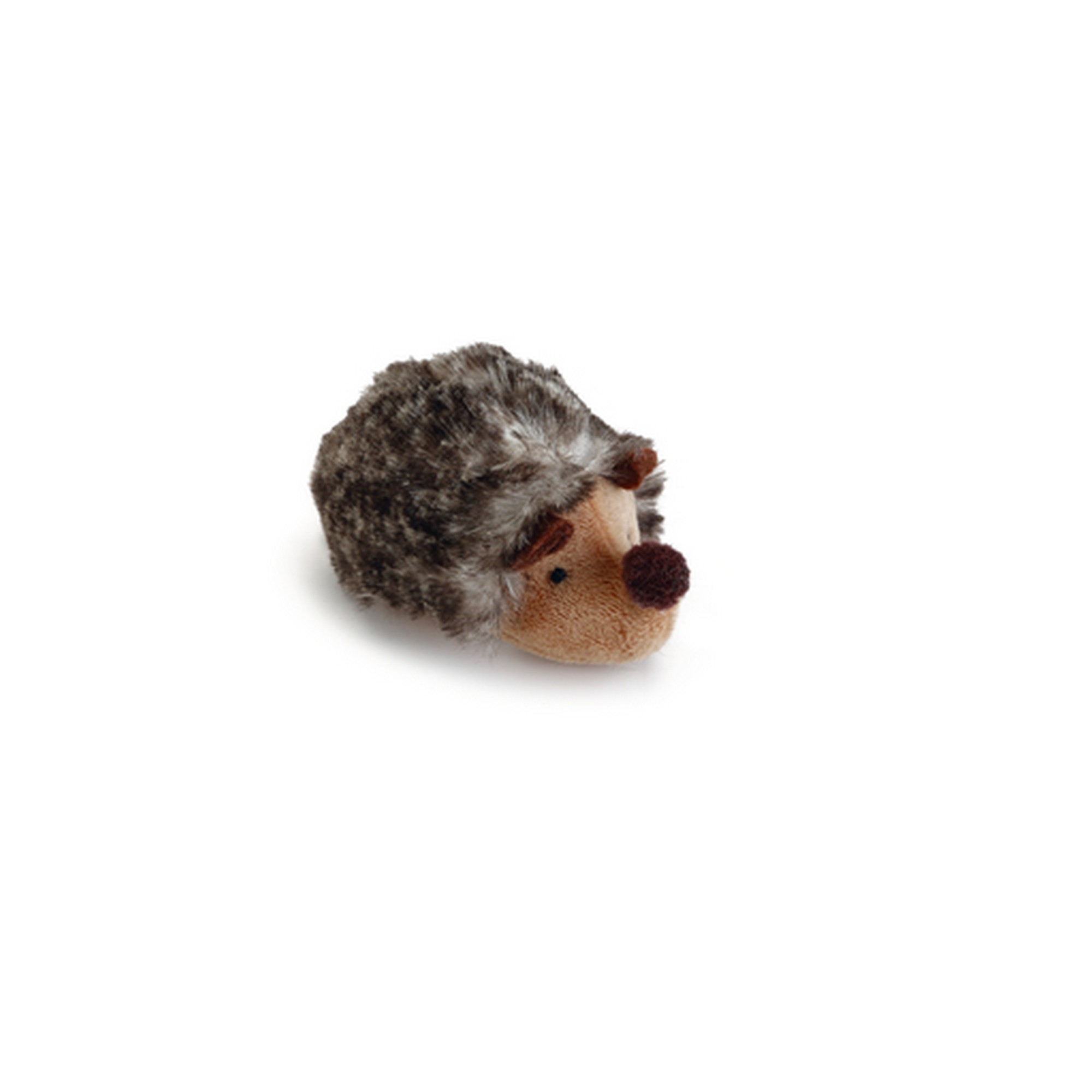 hauptbild